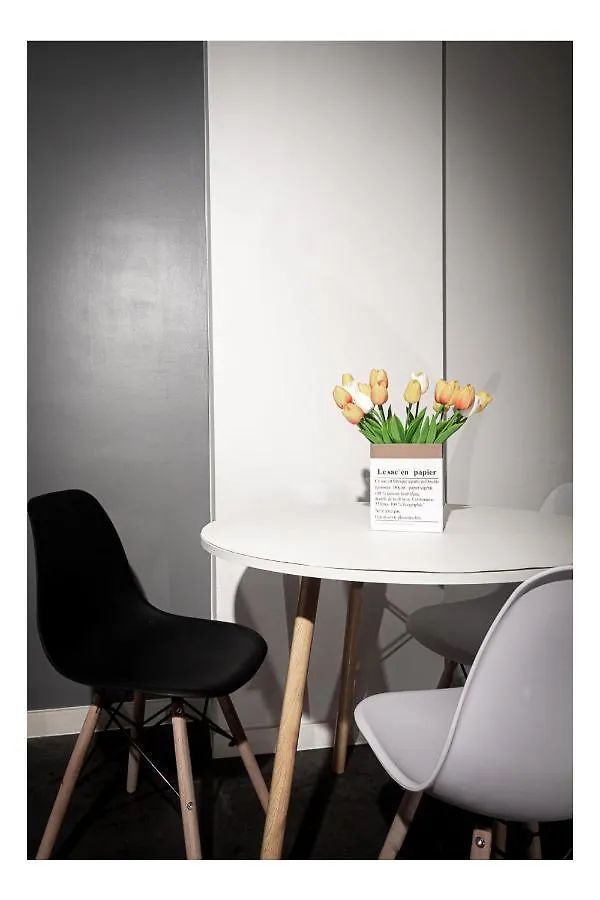 Central Perk Apartments-Antwerpen Apartment